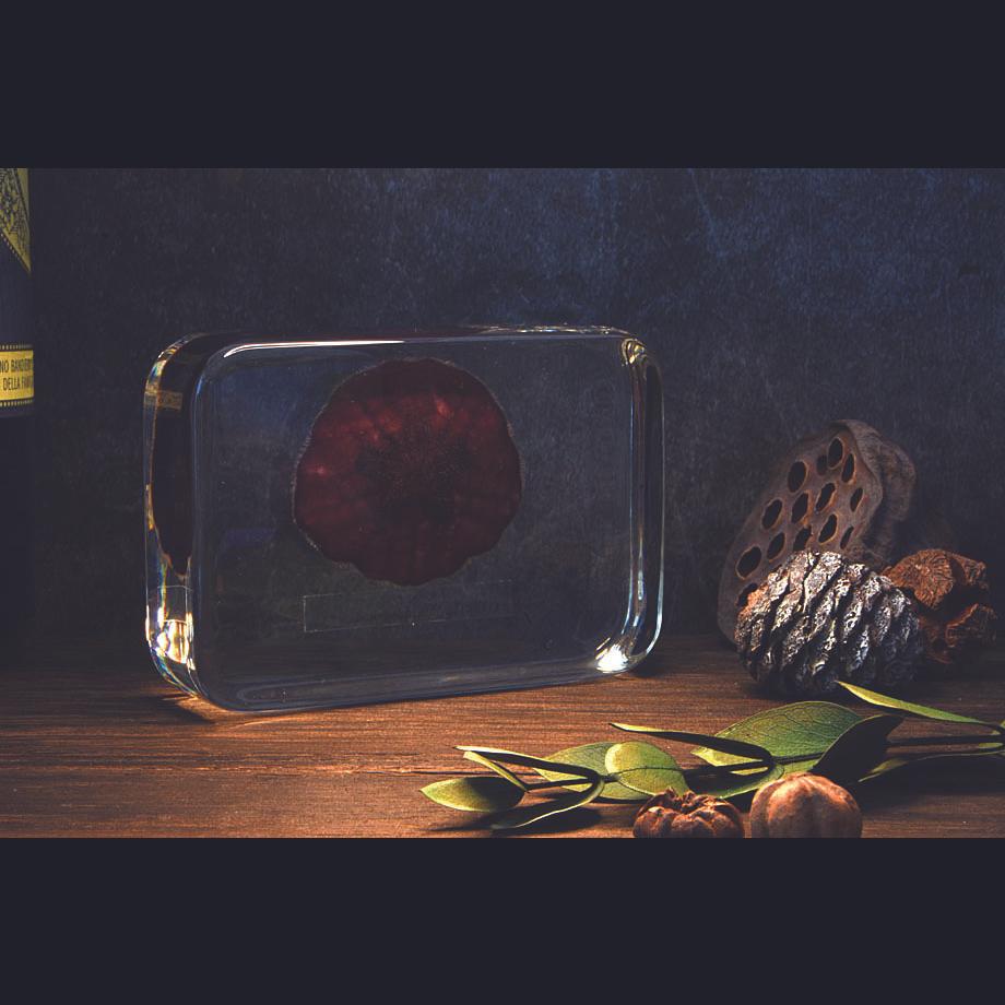 ハスノハカシパン樹脂封入標本 2L (木製標本箱入り) | 18枚目