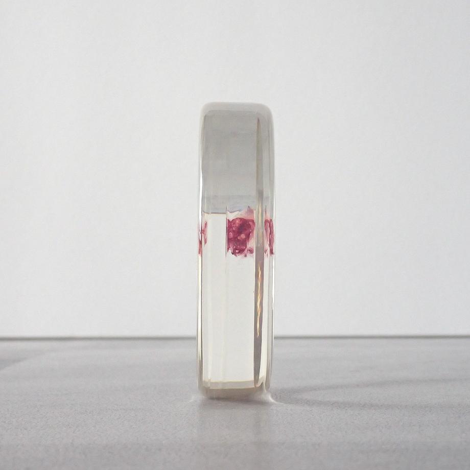 魚類単色染色樹脂封入標本 L (木製標本箱入り) | 7枚目