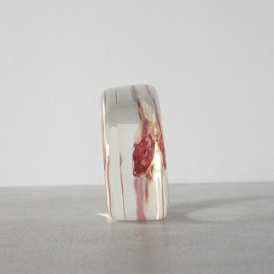 魚類単色染色樹脂封入標本 M (木製標本箱入り) | 3枚目