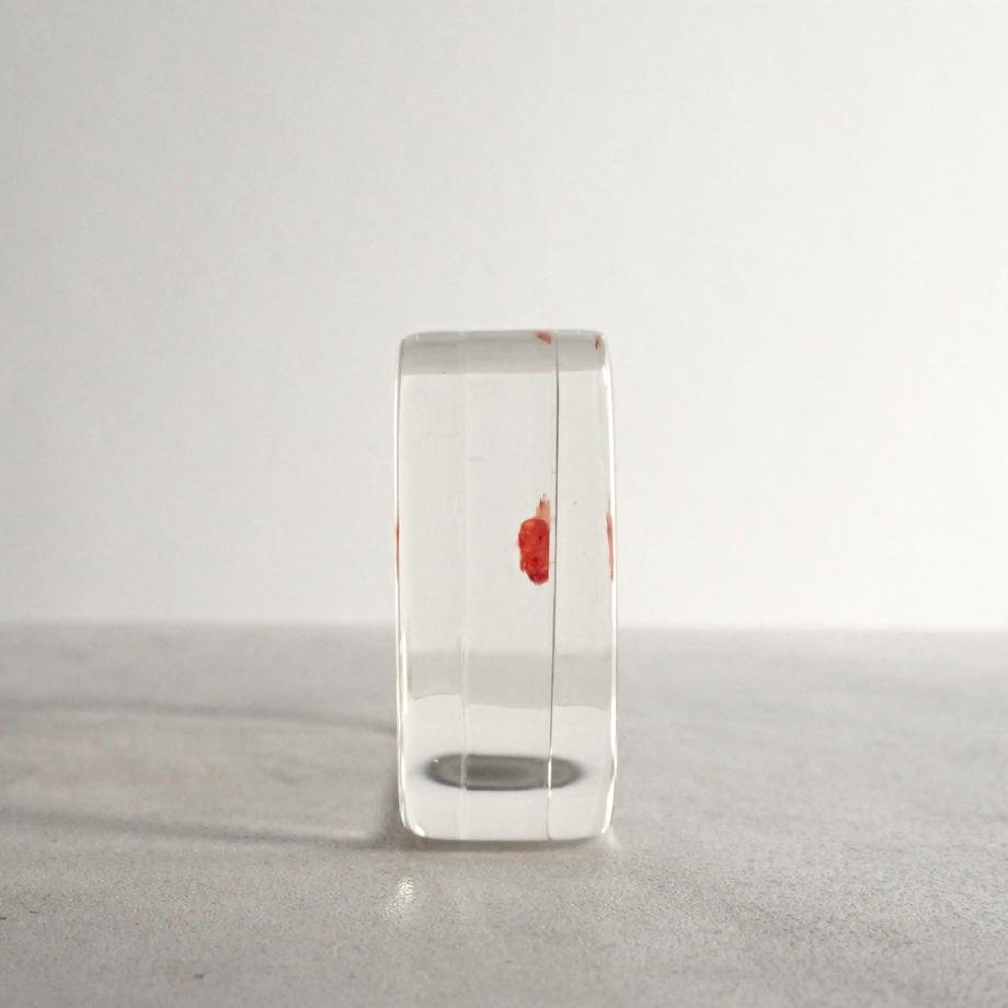 ボラ単色染色樹脂封入標本 M (木製標本箱入り) | 7枚目