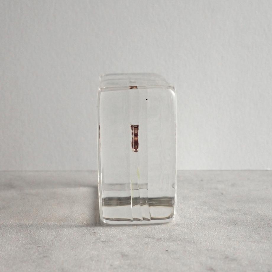 トゲマダラカゲロウ属の一種樹脂封入標本 S (木製標本箱入り) | 7枚目