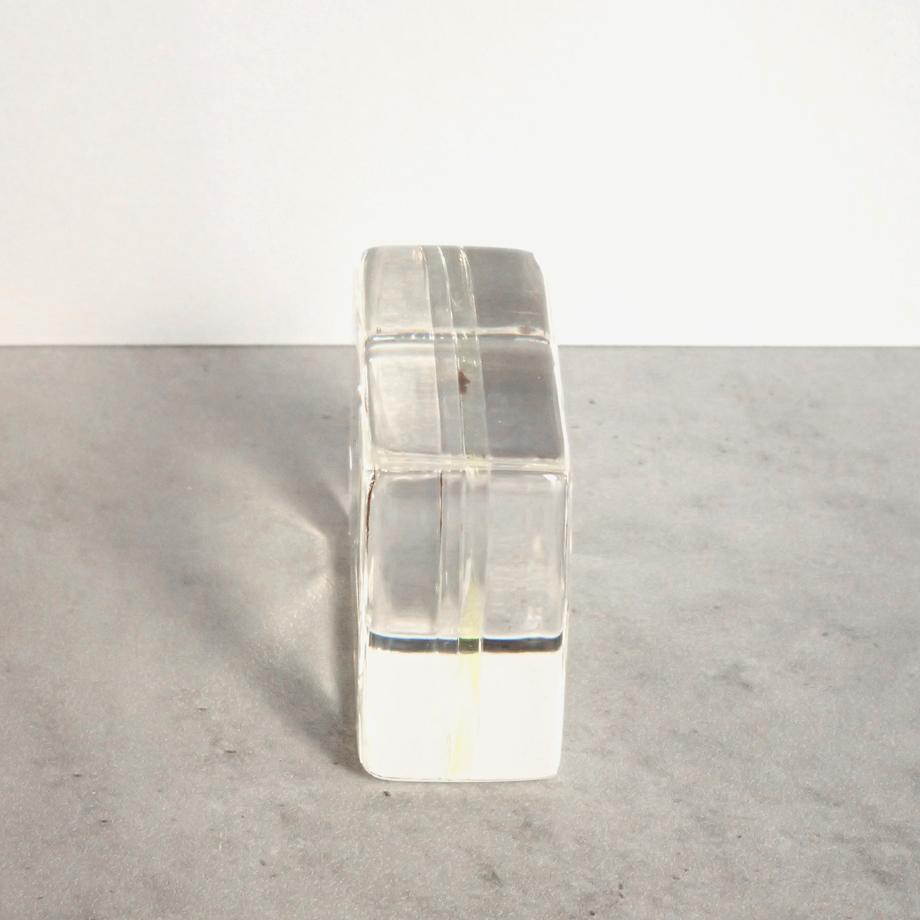 トゲマダラカゲロウ属の一種樹脂封入標本 S (木製標本箱入り) | 10枚目