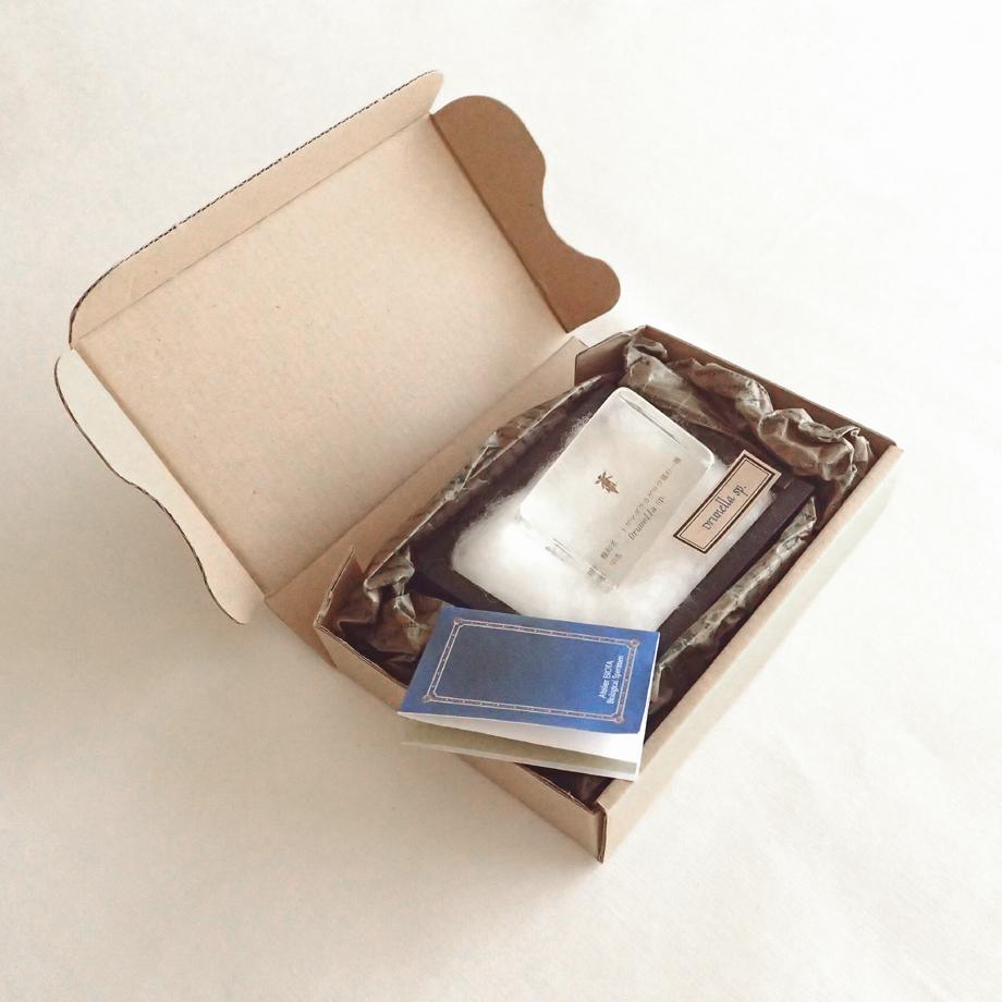 トゲマダラカゲロウ属の一種樹脂封入標本 S (木製標本箱入り) | 16枚目