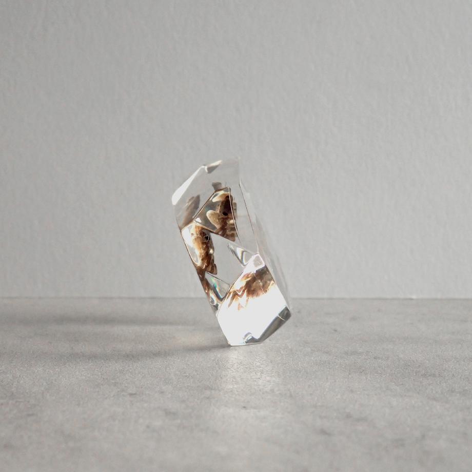 カニ類樹脂封入標本 C (木製標本箱入り) | 7枚目