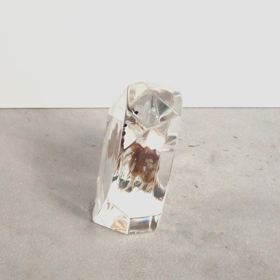 カニ類樹脂封入標本 C (木製標本箱入り) | 10枚目