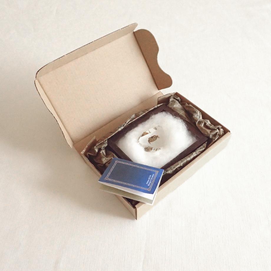 カニ類樹脂封入標本 C (木製標本箱入り) | 16枚目