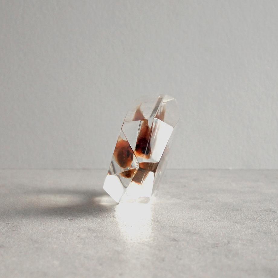 魚類樹脂封入標本 C (木製標本箱入り) | 10枚目