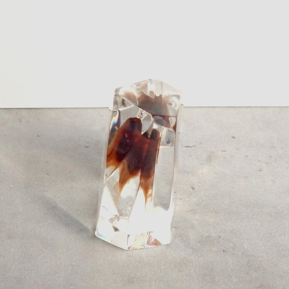 魚類樹脂封入標本 C (木製標本箱入り) | 13枚目