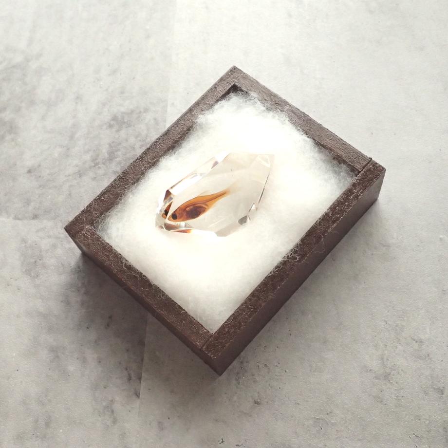 魚類樹脂封入標本 C (木製標本箱入り) | 18枚目