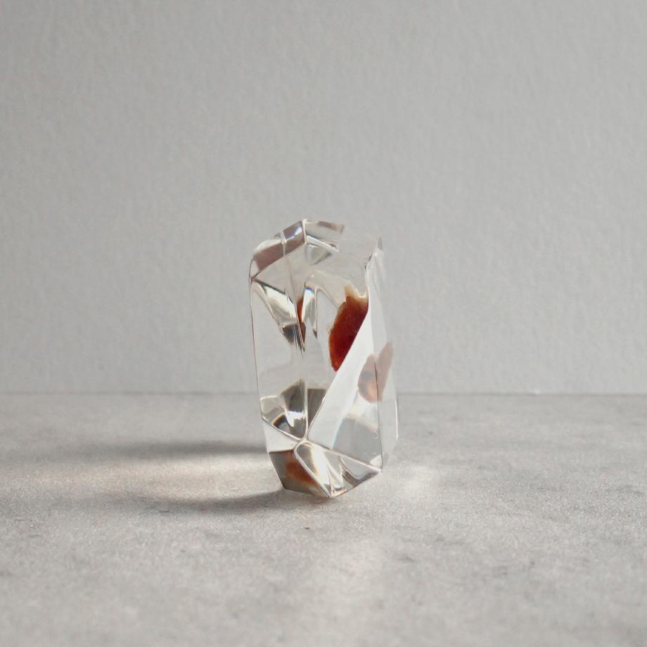 魚類樹脂封入標本 C (木製標本箱入り) | 7枚目