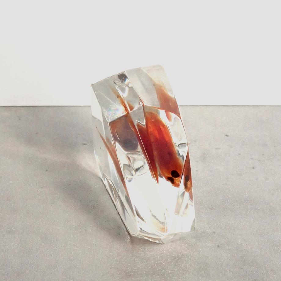 魚類樹脂封入標本 C (木製標本箱入り) | 10枚目