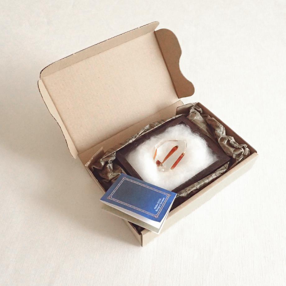 魚類樹脂封入標本 C (木製標本箱入り) | 16枚目