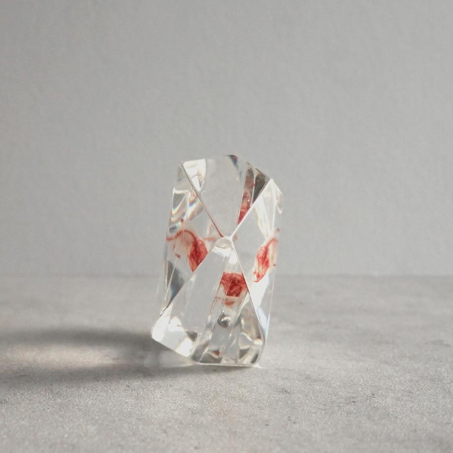 魚類単色染色樹脂封入標本 C (木製標本箱入り) | 3枚目