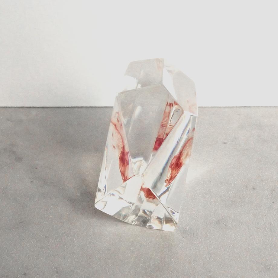 魚類単色染色樹脂封入標本 C (木製標本箱入り) | 6枚目