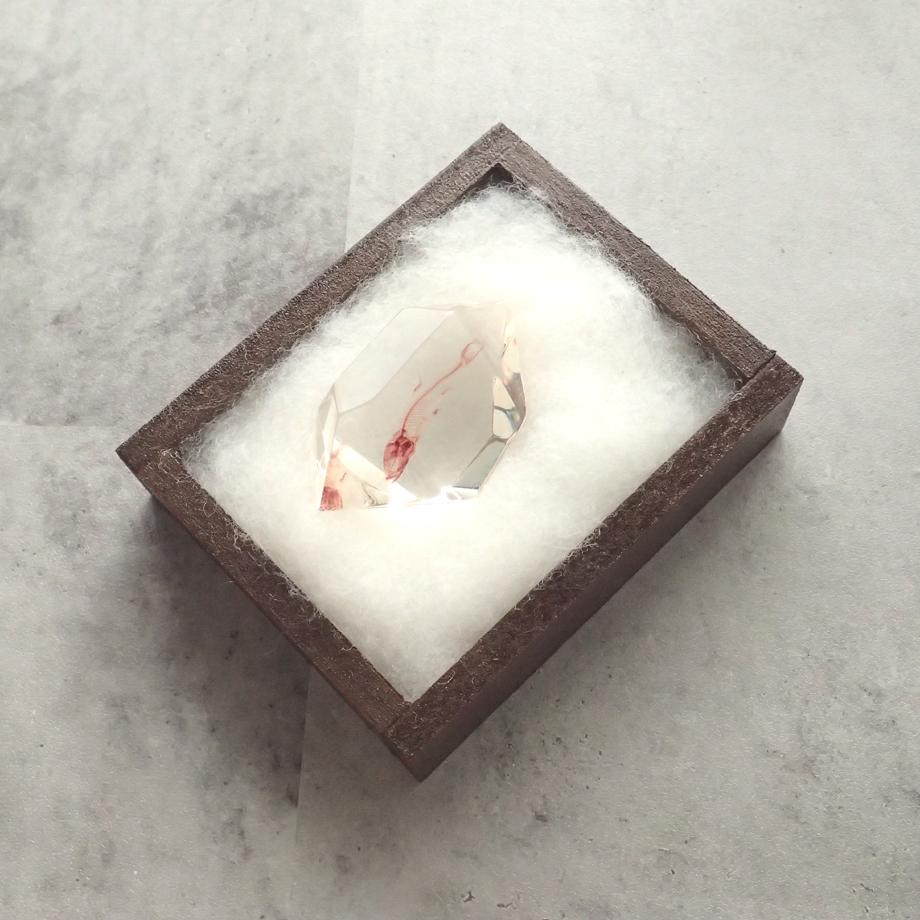 魚類単色染色樹脂封入標本 C (木製標本箱入り) | 11枚目