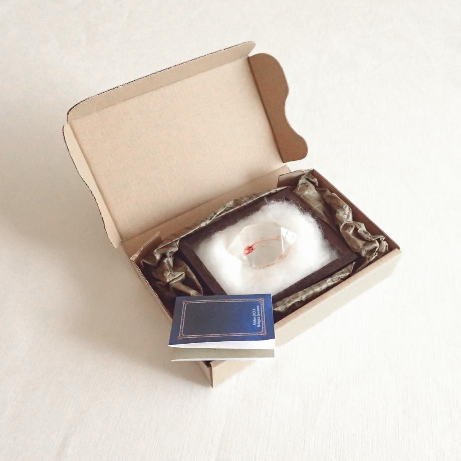 魚類単色染色樹脂封入標本 C (木製標本箱入り) | 12枚目