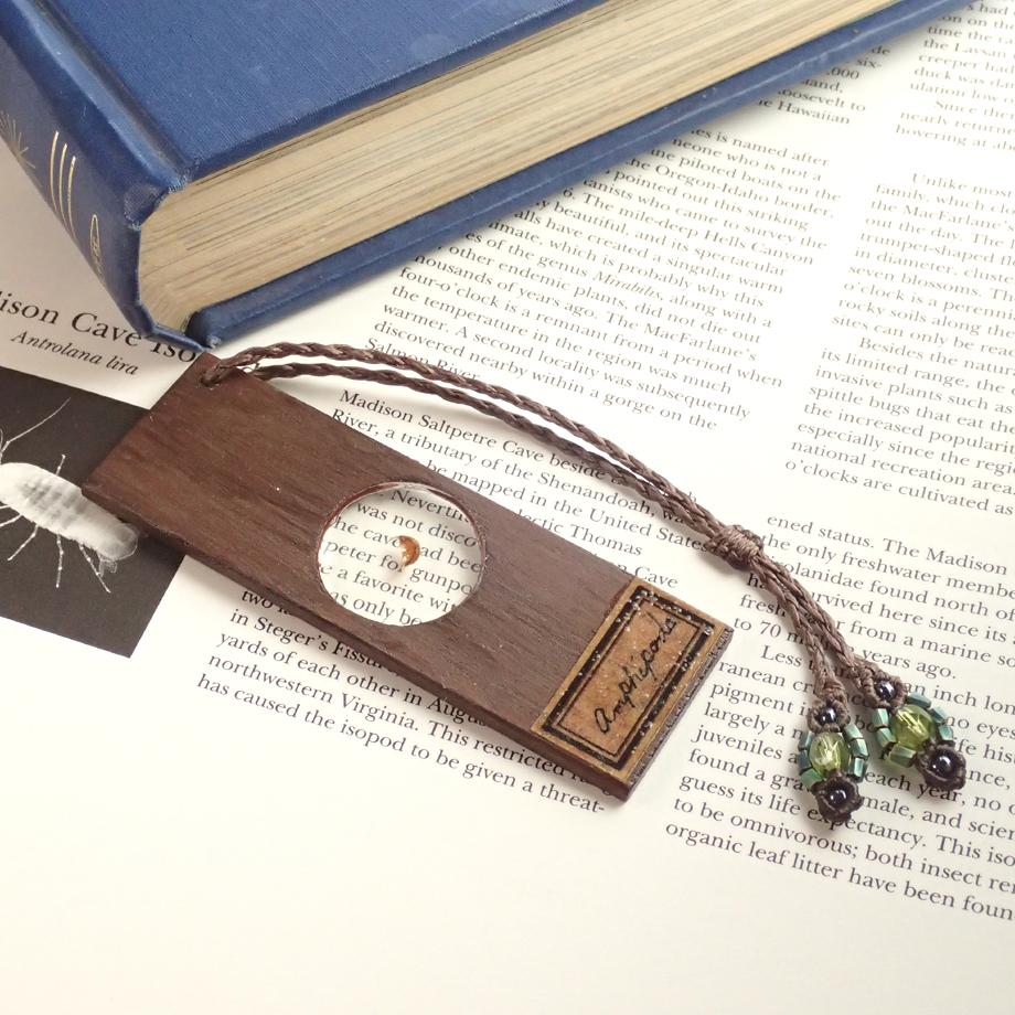 ヨコエビ類樹脂封入標本プレパラート1枚目の画像