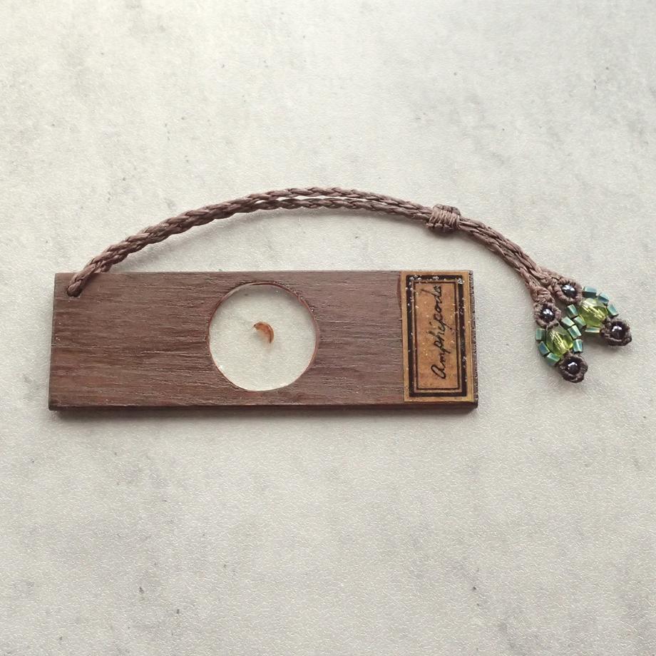 ヨコエビ類樹脂封入標本プレパラート | 2枚目