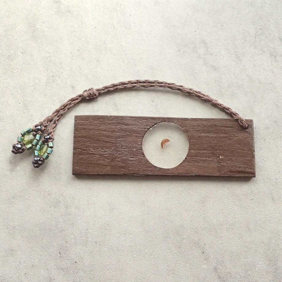 ヨコエビ類樹脂封入標本プレパラート | 3枚目