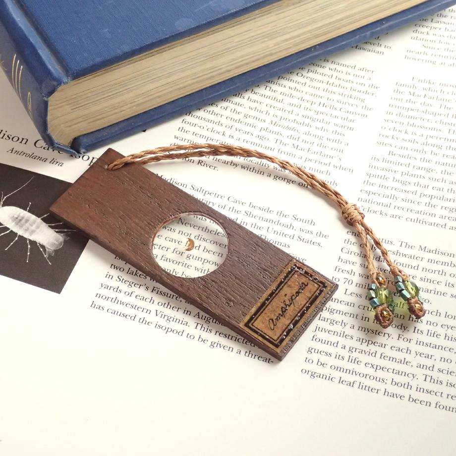 ヨコエビ類樹脂封入標本プレパラート | 5枚目