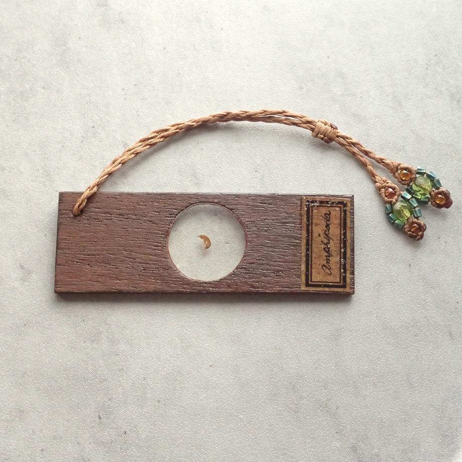 ヨコエビ類樹脂封入標本プレパラート | 6枚目