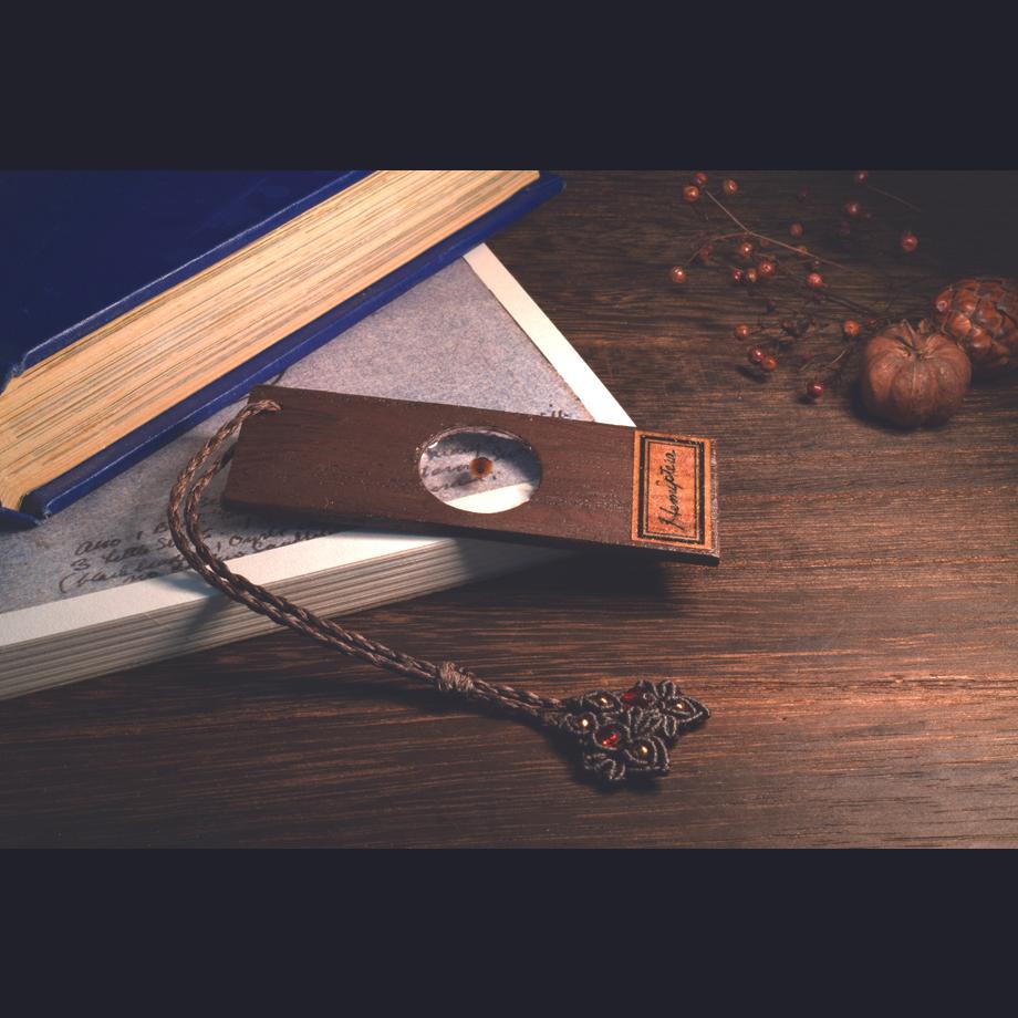 カメムシ目樹脂封入標本プレパラート | 11枚目