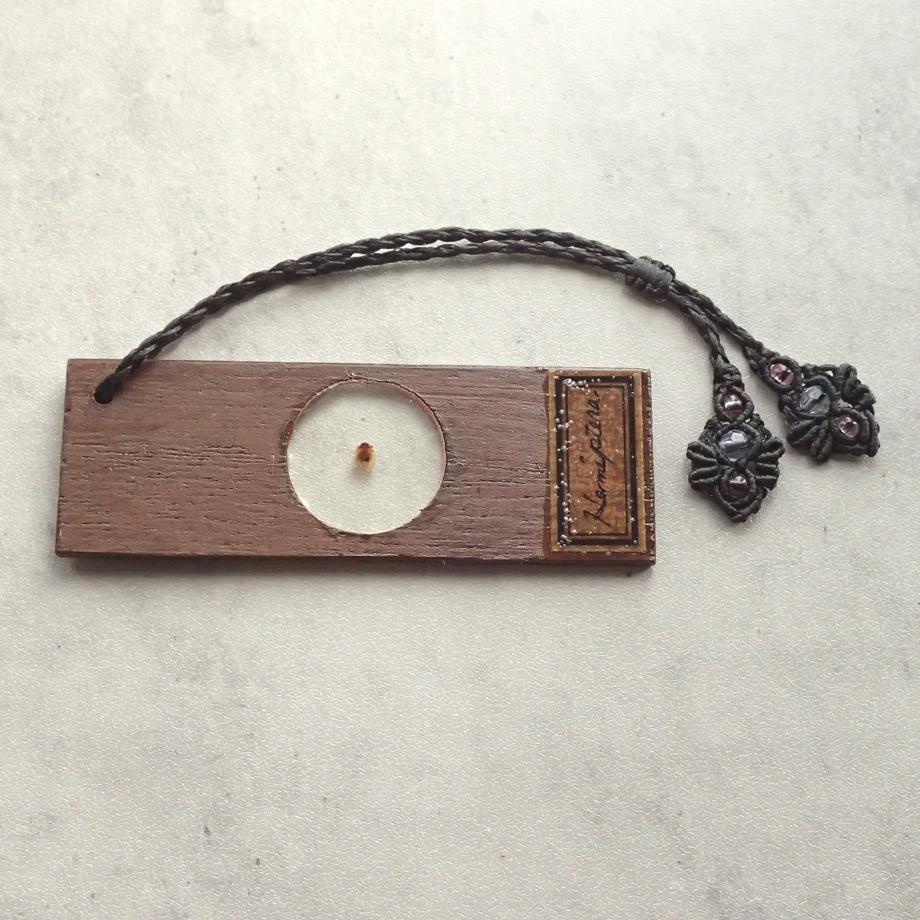 カメムシ目樹脂封入標本プレパラート | 2枚目