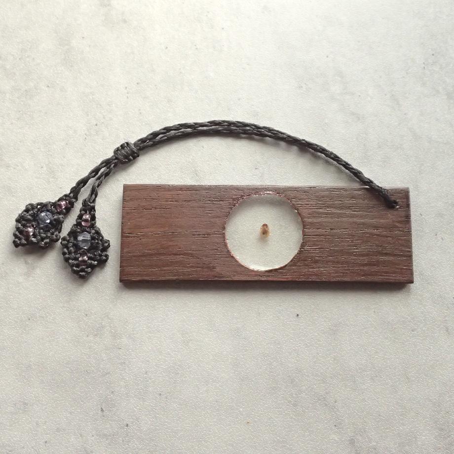 カメムシ目樹脂封入標本プレパラート | 3枚目