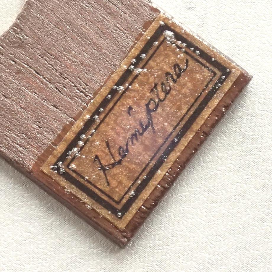 カメムシ目樹脂封入標本プレパラート | 6枚目