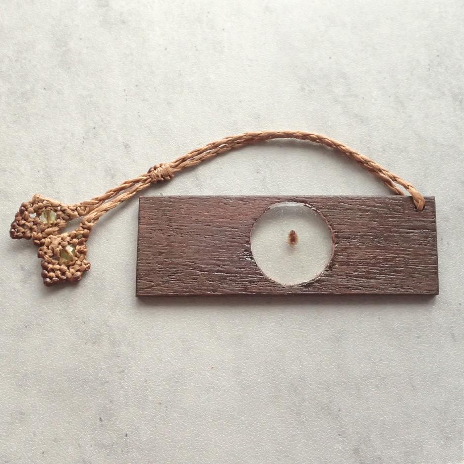 カメムシ目樹脂封入標本プレパラート | 7枚目