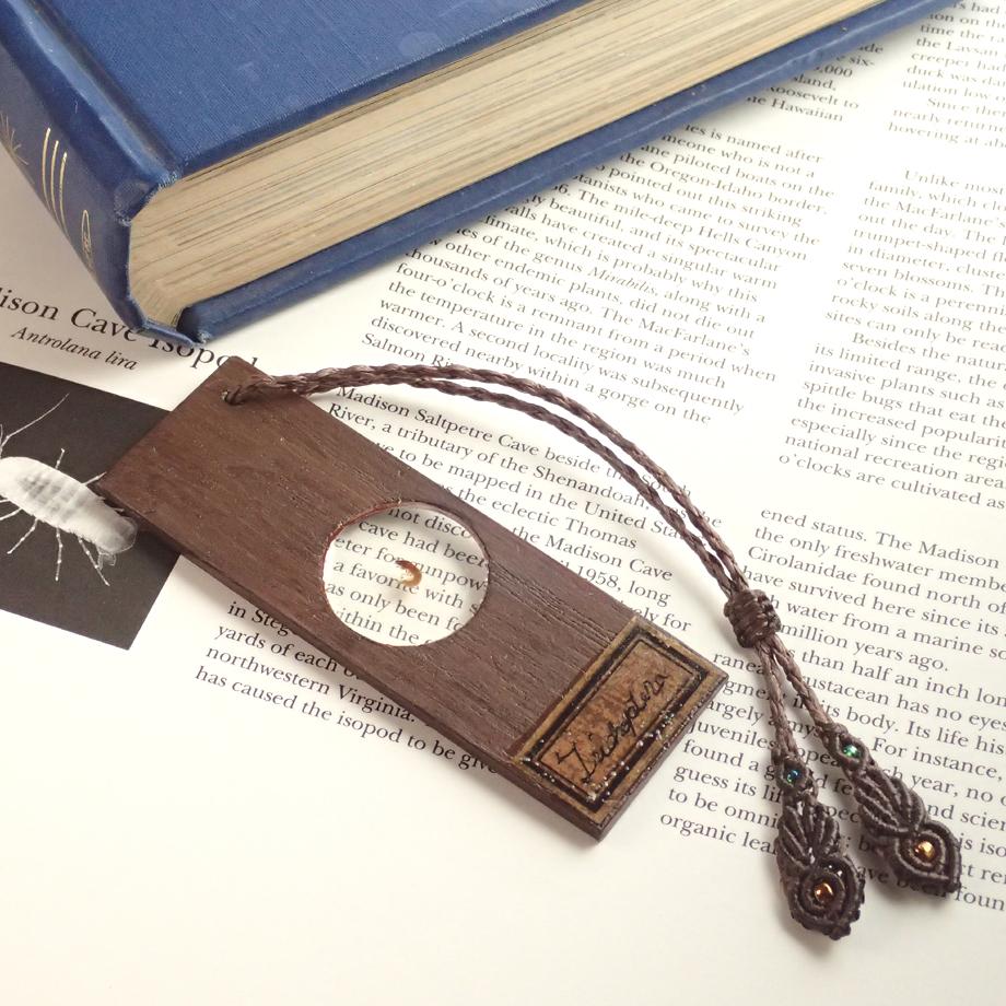 トビケラ類樹脂封入標本プレパラート1枚目の画像