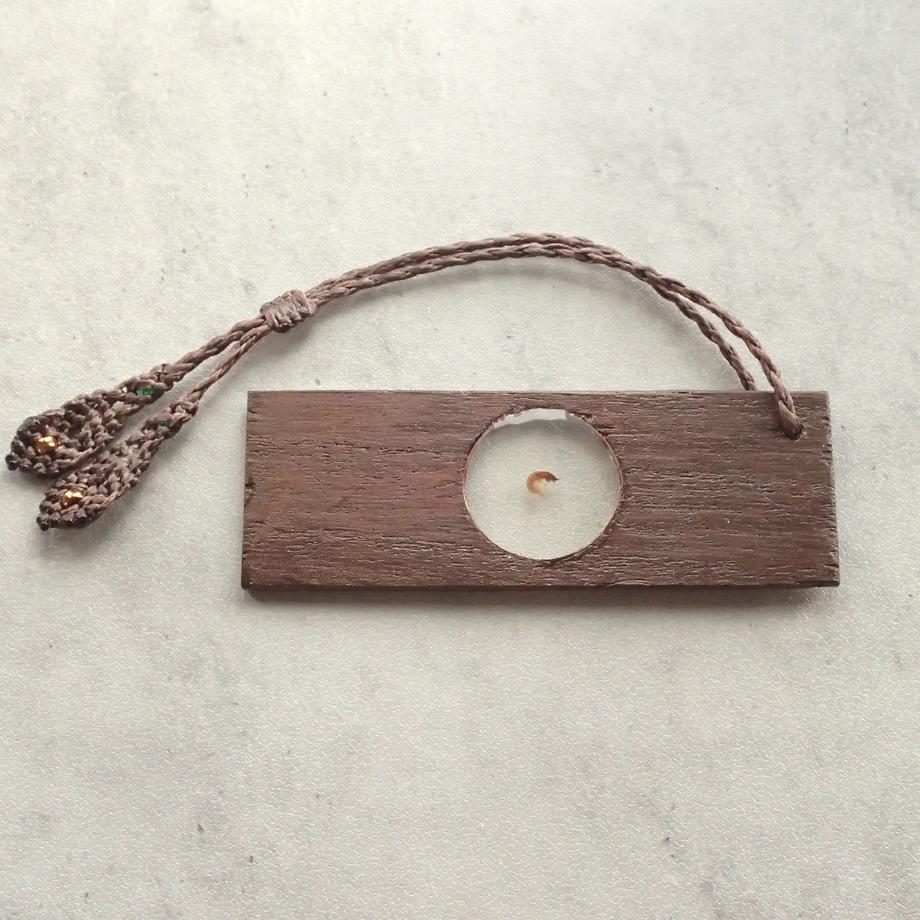 トビケラ類樹脂封入標本プレパラート | 3枚目