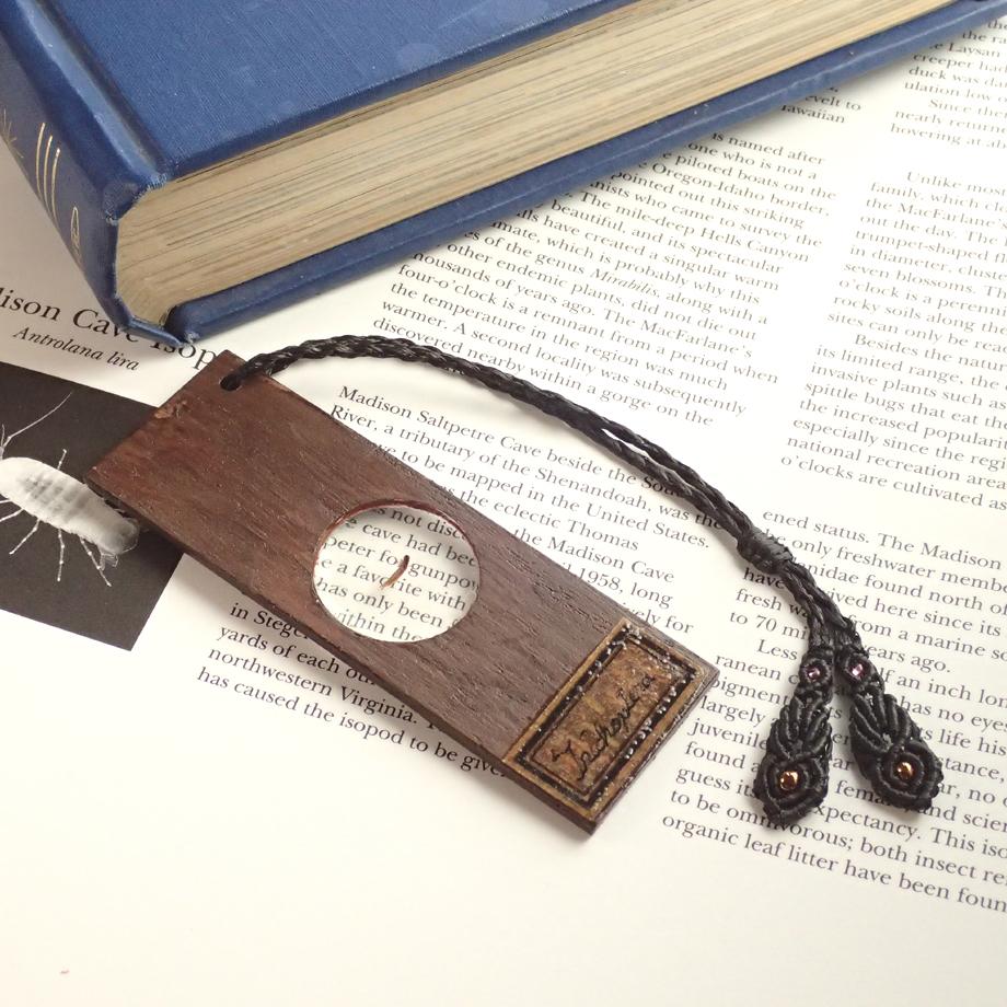 トビケラ類樹脂封入標本プレパラート1枚目の画像