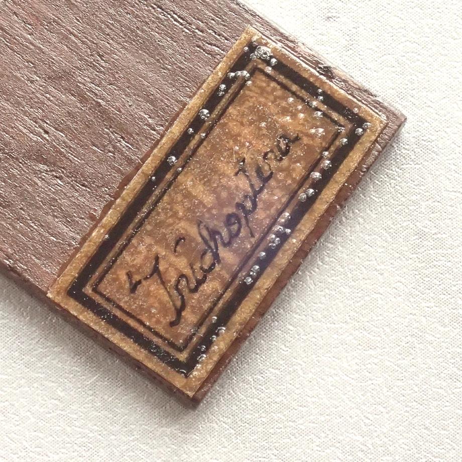 トビケラ類樹脂封入標本プレパラート | 6枚目