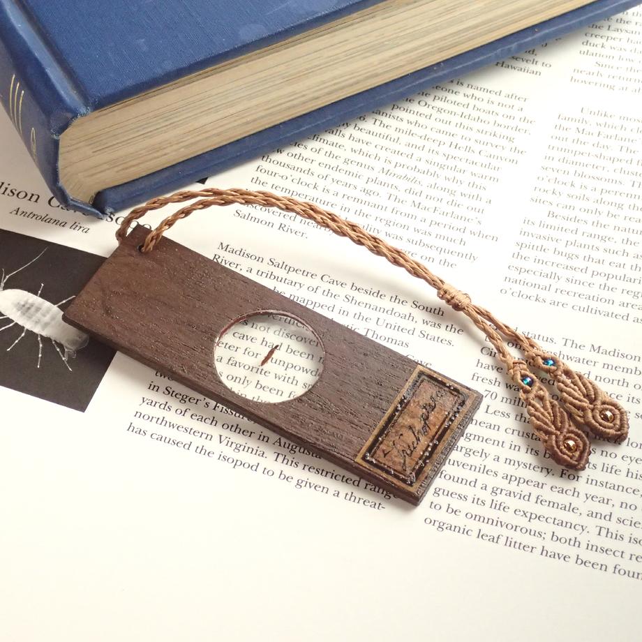 トビケラ類樹脂封入標本プレパラート1枚目の画像