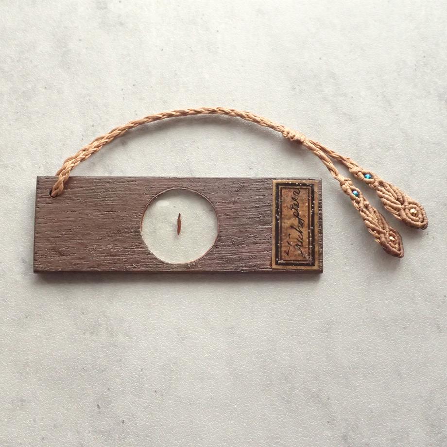 トビケラ類樹脂封入標本プレパラート | 2枚目