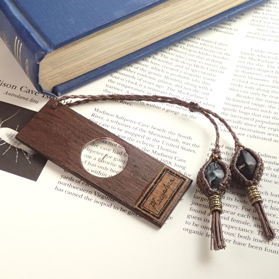 カワゲラ類樹脂封入標本プレパラート1枚目の画像