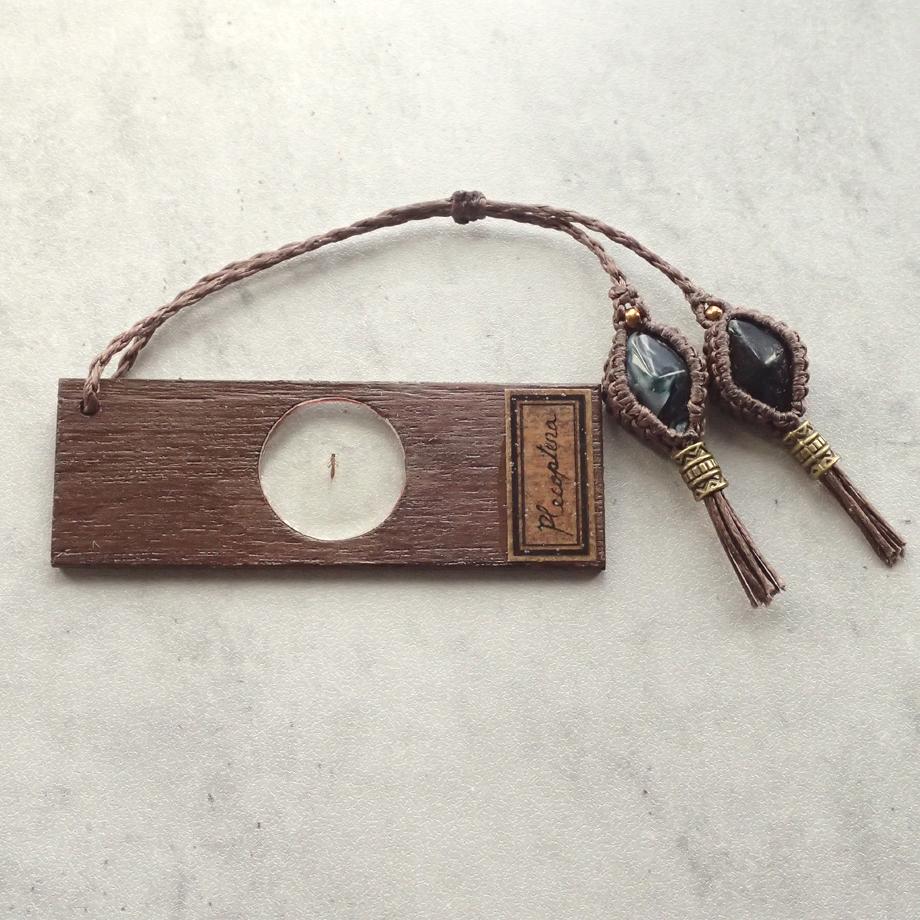 カワゲラ類樹脂封入標本プレパラート | 2枚目