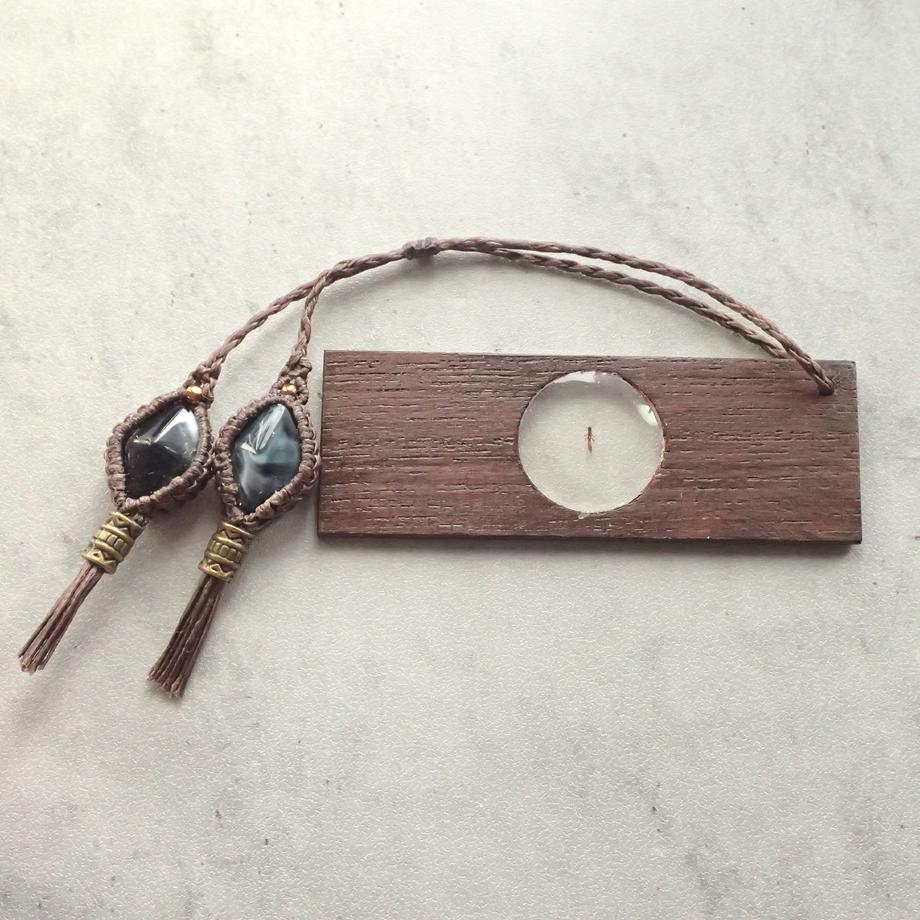 カワゲラ類樹脂封入標本プレパラート | 3枚目