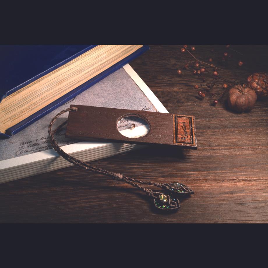 カワゲラ類樹脂封入標本プレパラート | 11枚目