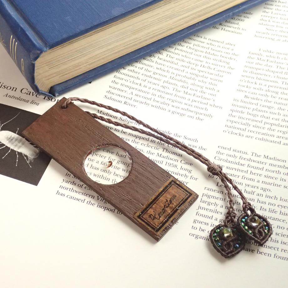 カワゲラ類樹脂封入標本プレパラート | 5枚目