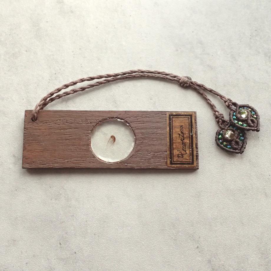 カワゲラ類樹脂封入標本プレパラート | 6枚目