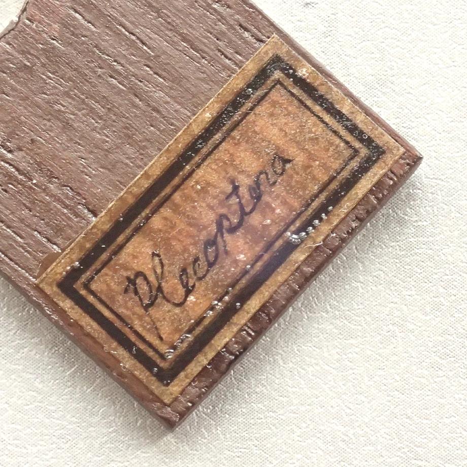 カワゲラ類樹脂封入標本プレパラート | 10枚目