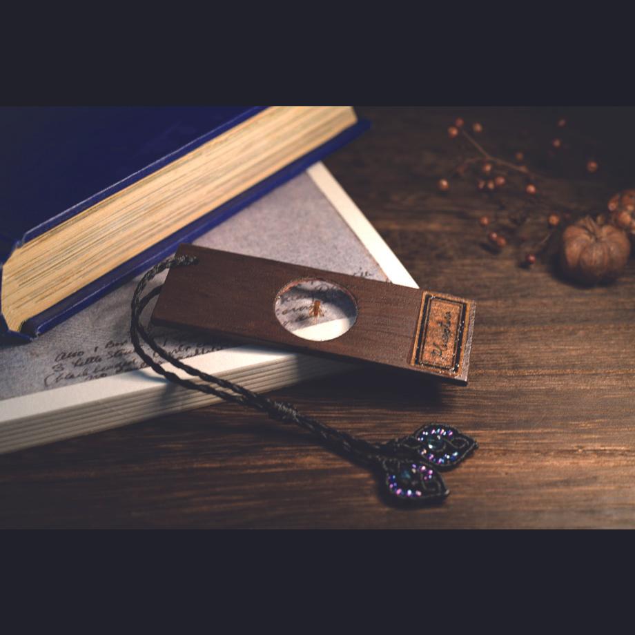 カワゲラ類樹脂封入標本プレパラート | 11枚目