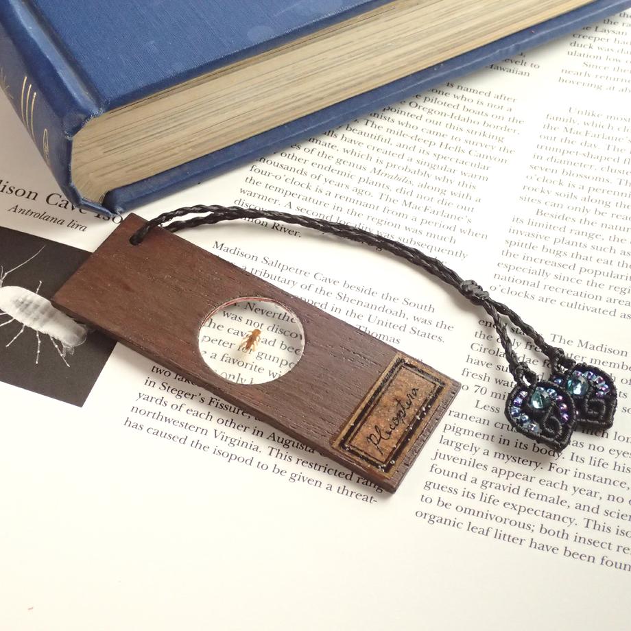 カワゲラ類樹脂封入標本プレパラート | 5枚目