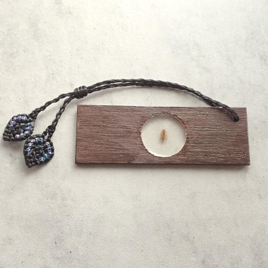 カワゲラ類樹脂封入標本プレパラート | 7枚目