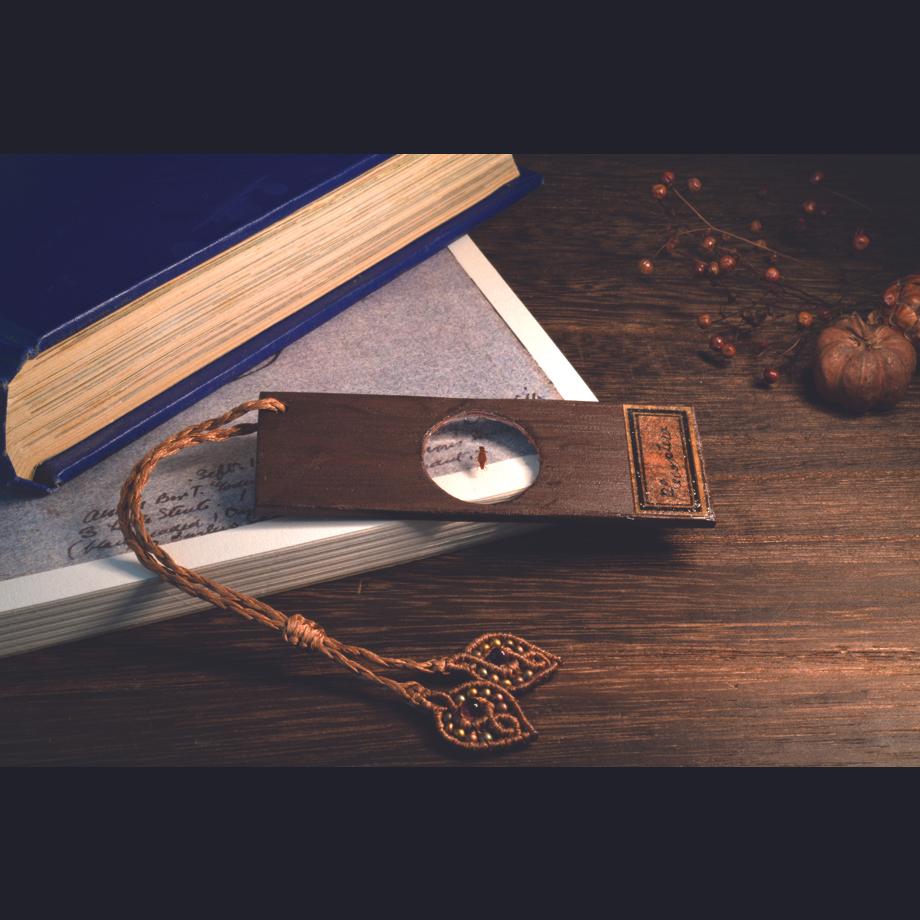 カワゲラ類樹脂封入標本プレパラート | 5枚目