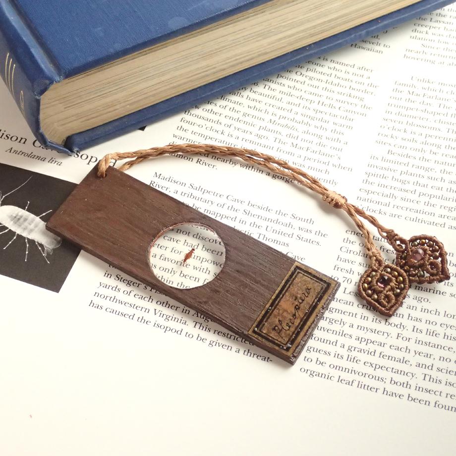 カワゲラ類樹脂封入標本プレパラート | 6枚目