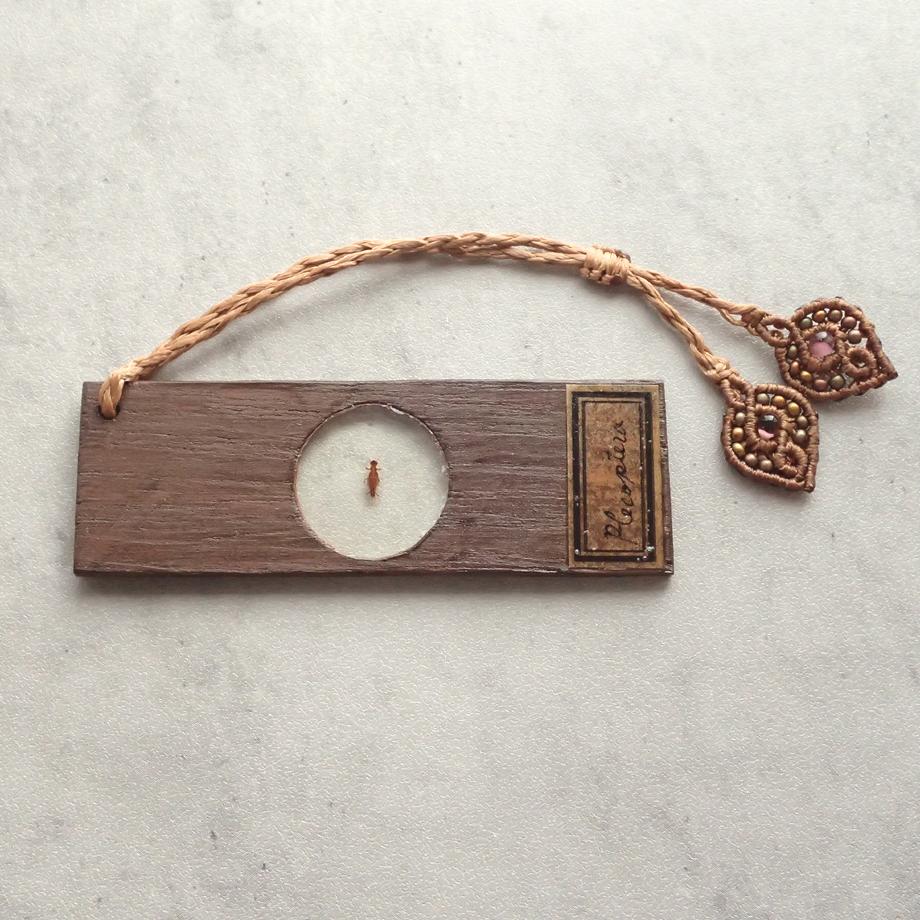 カワゲラ類樹脂封入標本プレパラート | 7枚目