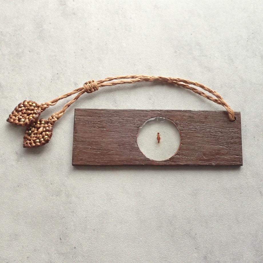 カワゲラ類樹脂封入標本プレパラート | 8枚目